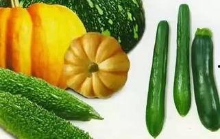 各种吃瓜视频网红,揭秘网红吃瓜视频背后的热点与潮流