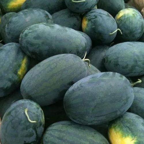 网红弋优吃瓜,揭秘娱乐圈幕后真相