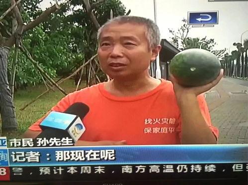 全网吃瓜网热门事件,吃瓜网爆出年度热门事件大揭秘！