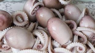 网红八爪鱼吃瓜事件,揭秘网络舆论背后的真相