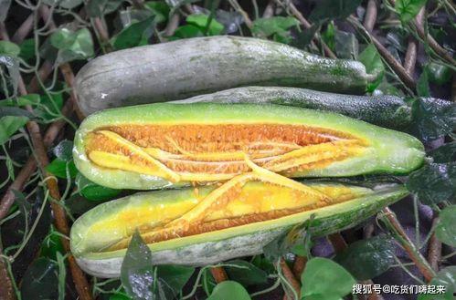 网红吃童锦城瓜,甜蜜滋味引发全网热议