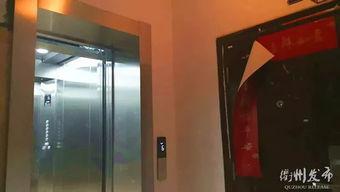 吃瓜网红电梯,揭秘娱乐圈背后的秘密